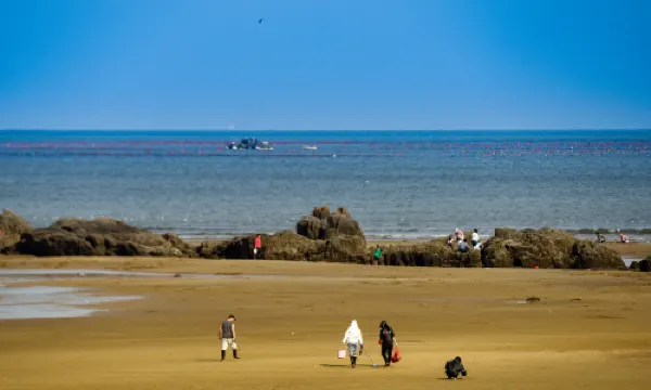 ตามล่าหาสมบัติชายหาดที่ชิงเต่า