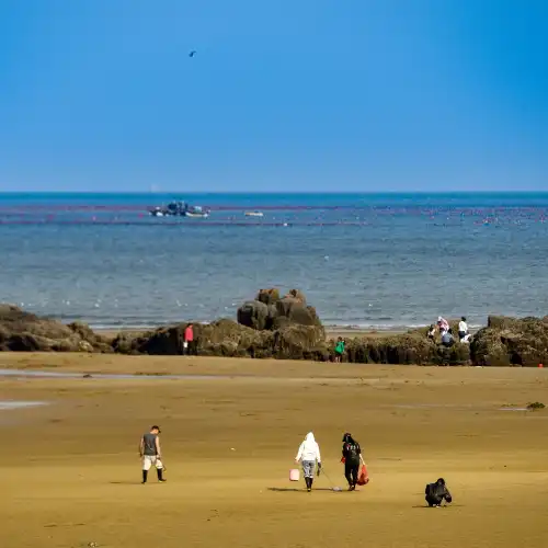 青島10大特色體驗