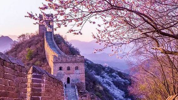 金山嶺長城第十四屆杏花節