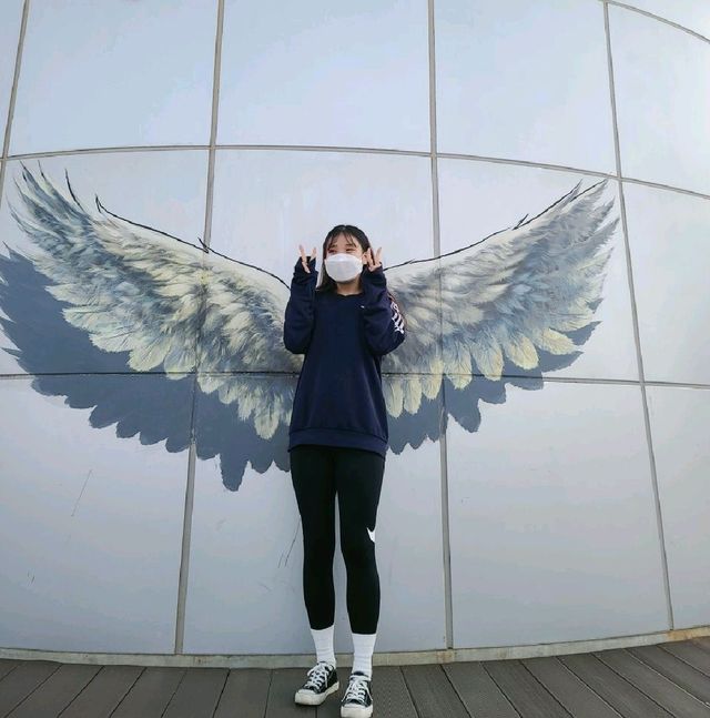 아시아 최장길이 "강화도 루지"
