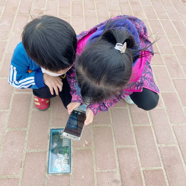 極大草地！