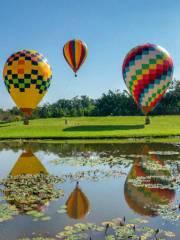 Hot Air Balloon Flight Experience in the Botanical Garden of the Chinese Academy of Sciences