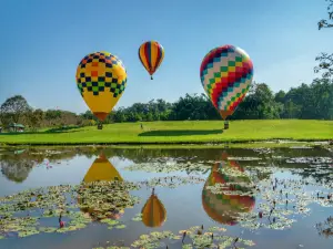 Hot Air Balloon Flight Experience in the Botanical Garden of the Chinese Academy of Sciences