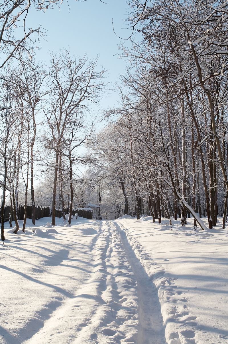 Kushiro Shitsugen National Park