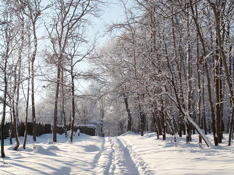 Kushiro Shitsugen National Park