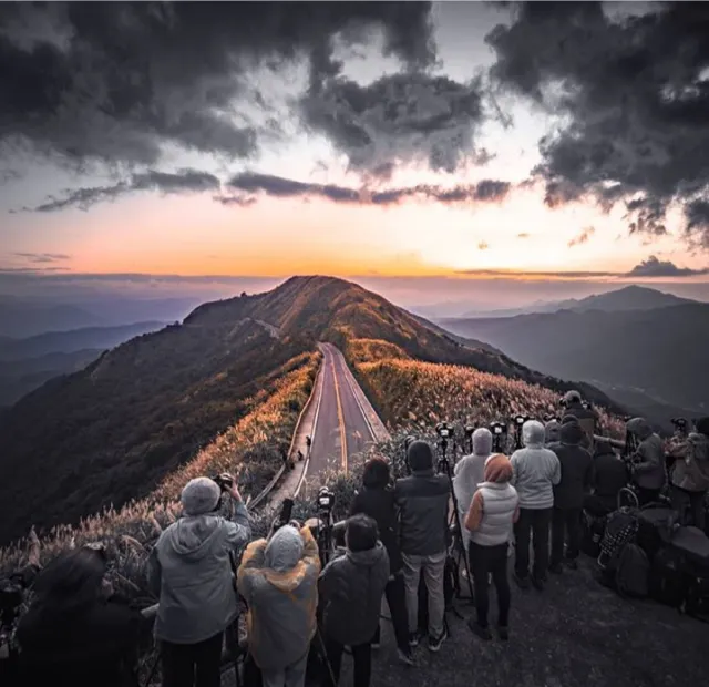 瑞芳不厭亭 芒草