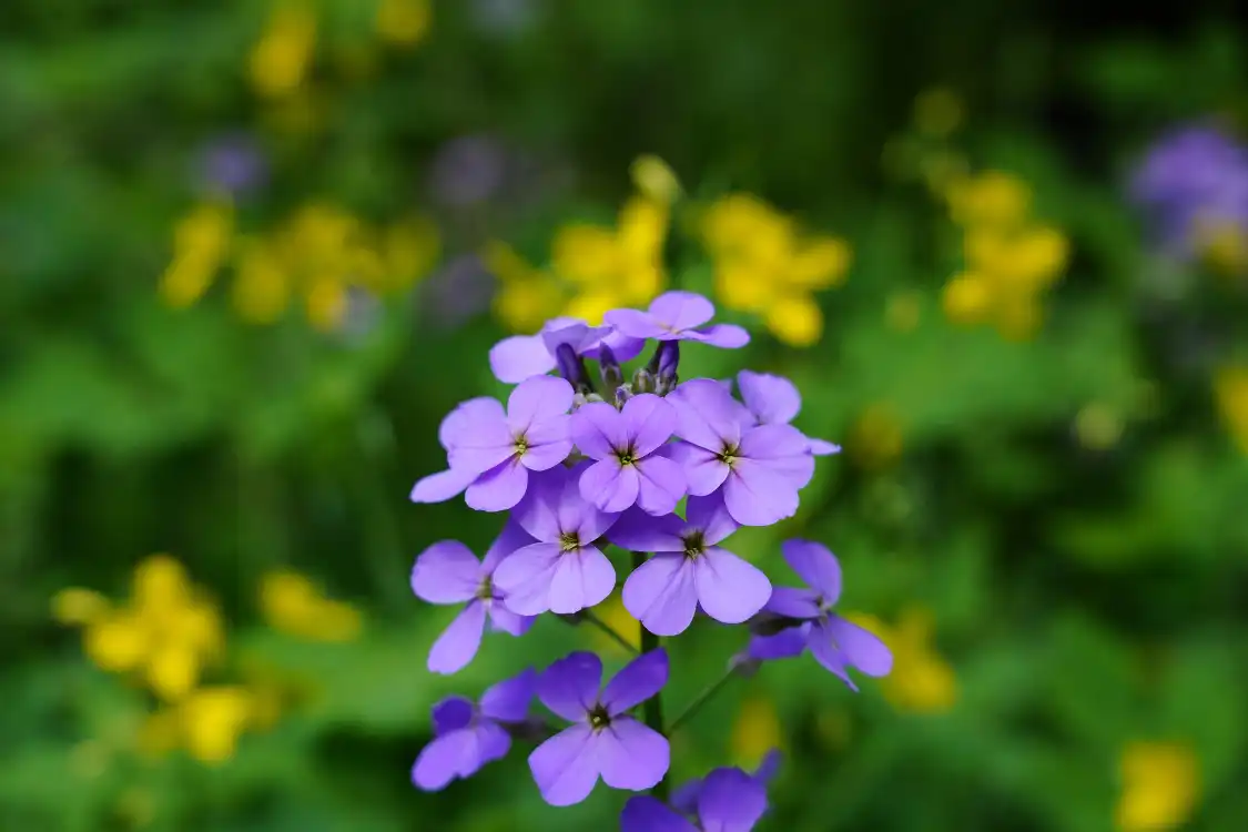 친후 삼림공원 주변 호텔
