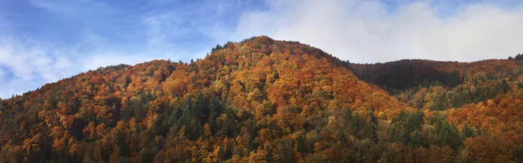 Отзывы об отеле Homeinn Plus Hotel (Dunhua Hanzhang Avenue)