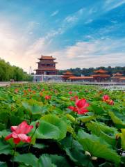 China Lotus Park
