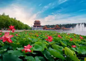 China Lotus Park