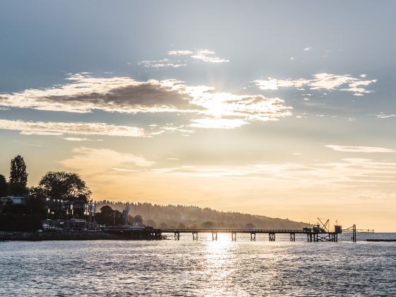 Kitsilano Beach