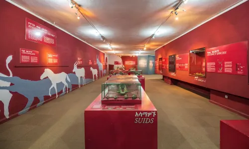 Ethnological Museum