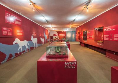 Ethnological Museum