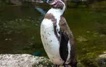 Featherdale Sydney Wildlife Park