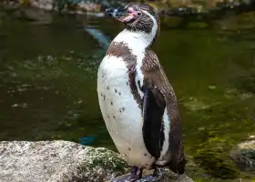 費瑟戴爾野生動物園