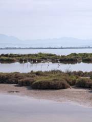 Honghe Nature Reserve