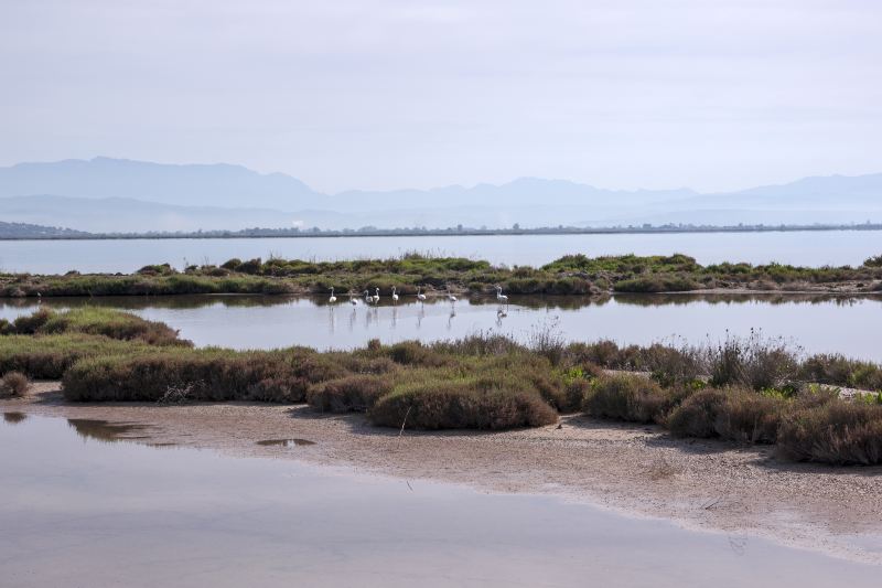 Honghe Nature Reserve