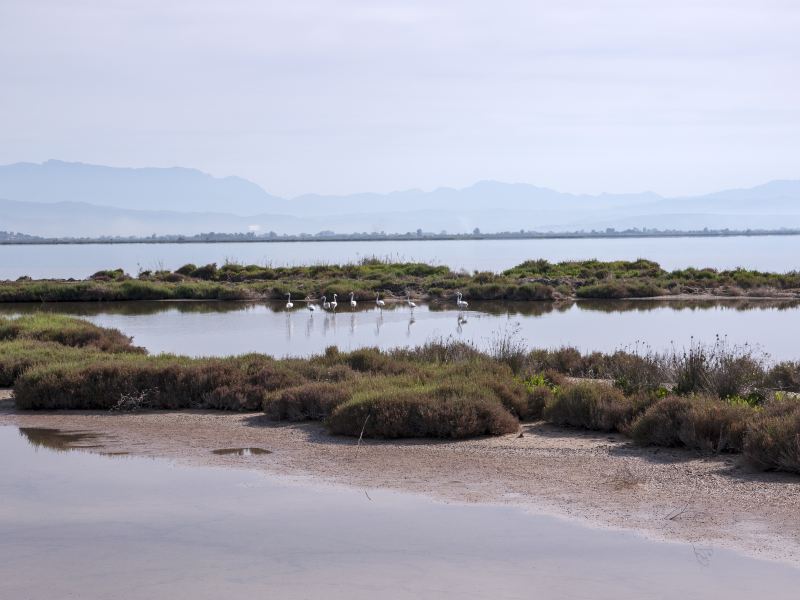 Honghe Nature Reserve