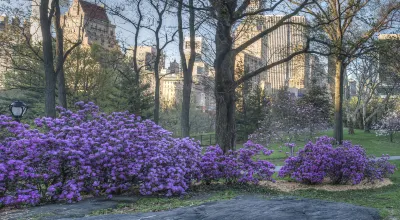 Отели рядом с достопримечательностью «Shiogamicho Park»