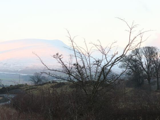 Quan Mountain Scenic Area