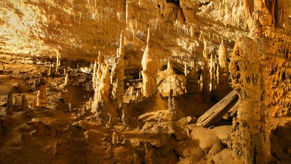 Postojnska Caves