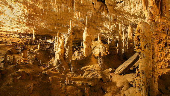 Postojnska Caves