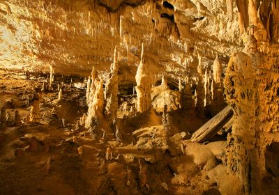 Grotte di Postumia