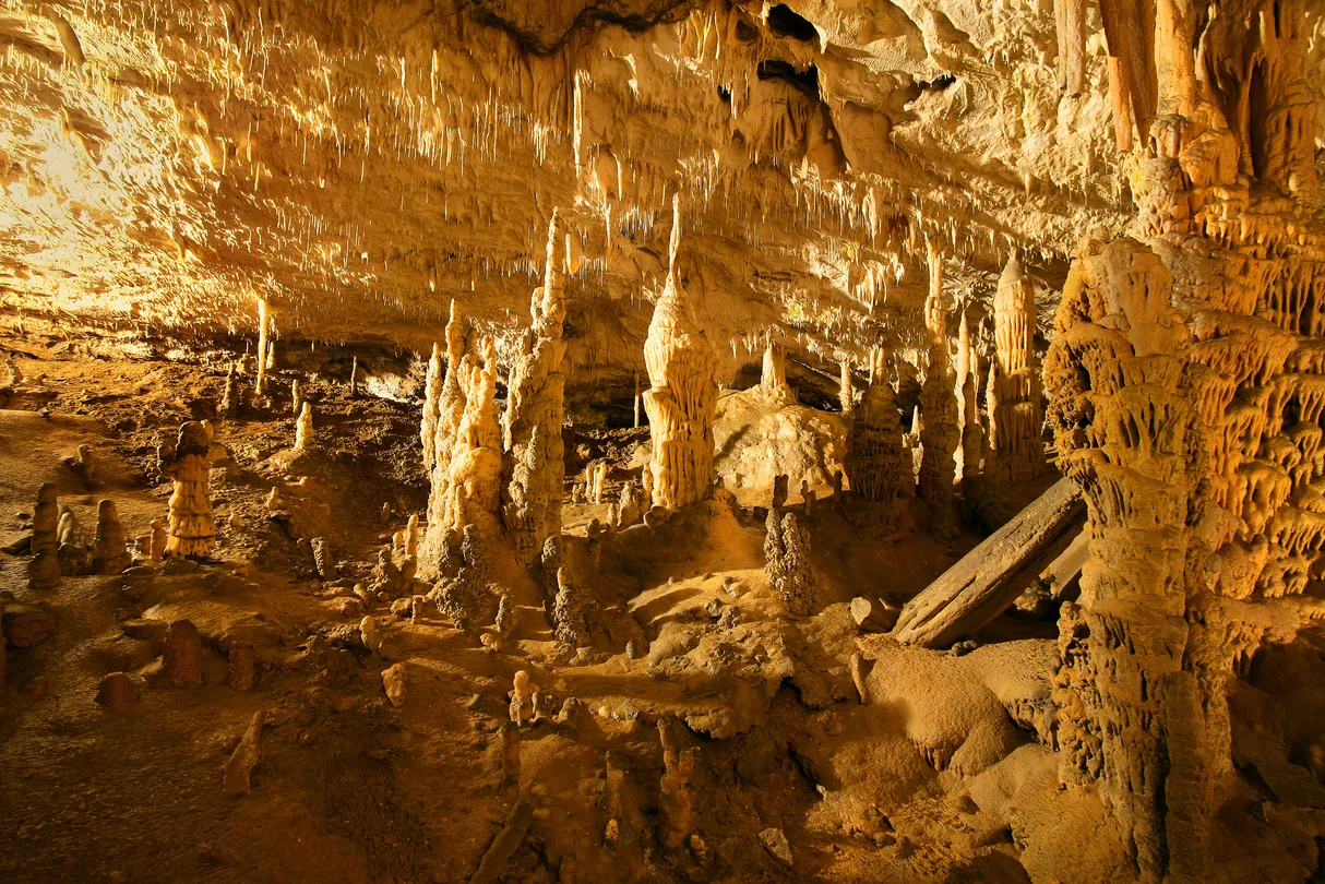 1_Postojnska Caves