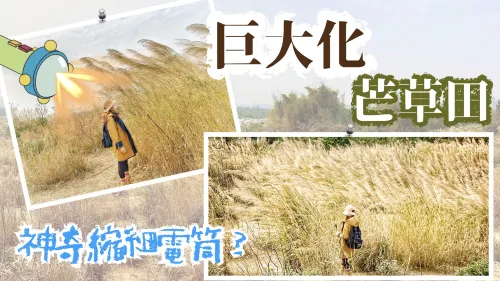 【粉嶺好去處】極簡易路線| 打卡路線攻略|