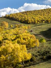 Shengshuiliang Scenic Spot