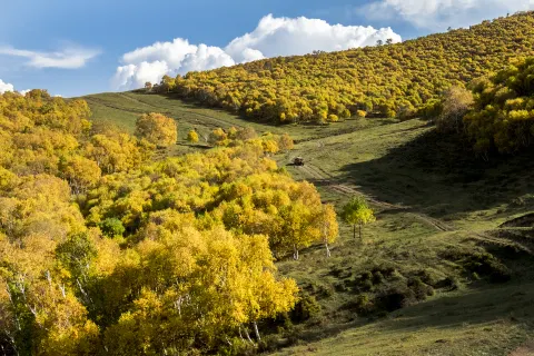 Shengshuiliang Scenic Spot