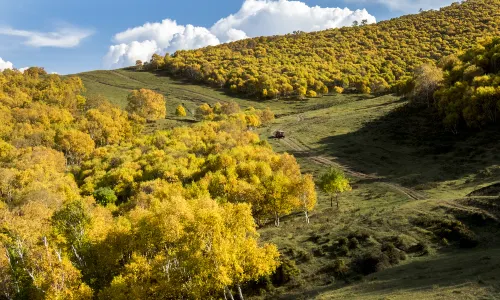 Shengshuiliang Scenic Spot