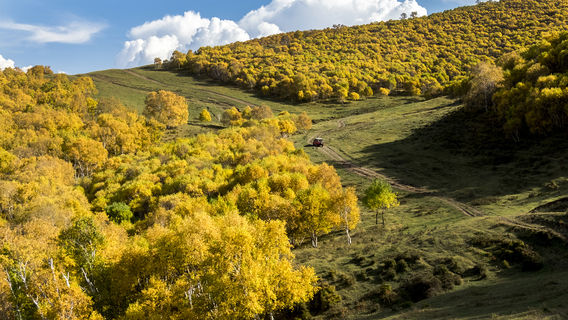 Shengshuiliang Scenic Spot