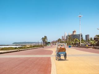 Durban Vacation Packages