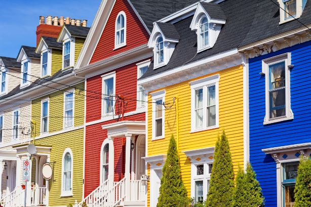 newfoundland