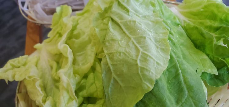 鸡足缘·海稍鱼·野生菌火锅
