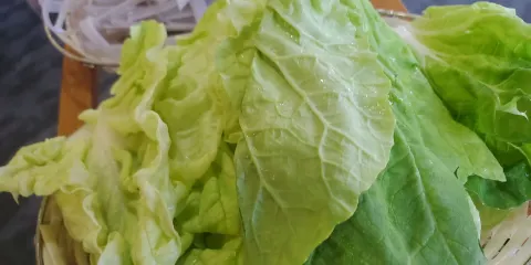 雞足緣—野生菌火鍋