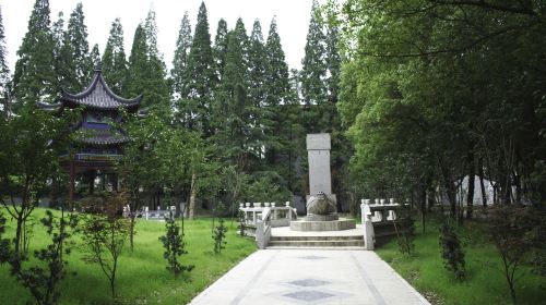 Dong Yong Park