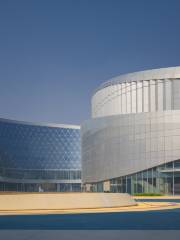 Zhengzhou Acrobatic Hall