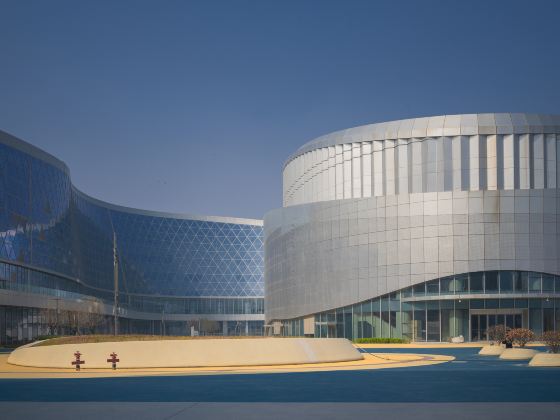 Zhengzhou Acrobatic Hall