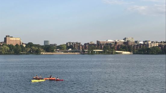 横穿波士顿的查尔斯河，河面很宽，在岸边能看到很多帆船和皮划艇
