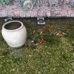 福丘 User Photo