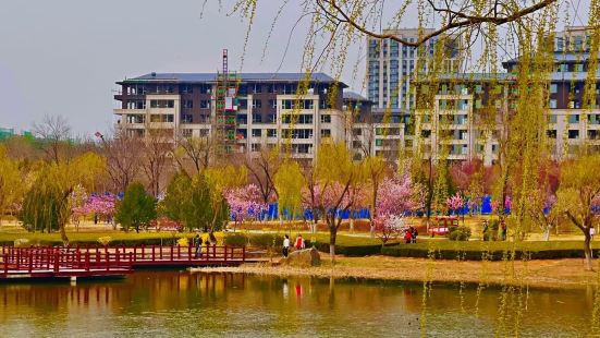 浞河景区，位于潍坊市高新区新二路附近，位置优越，交通便利。植