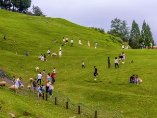 日月潭10大最佳頂級飯店排名