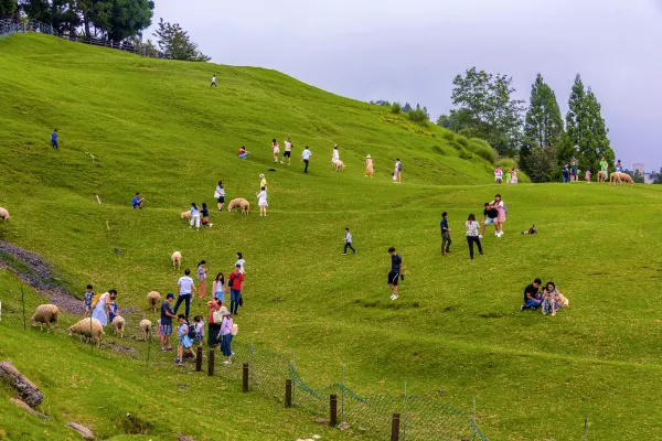 Hotels near Pasongan Lookout