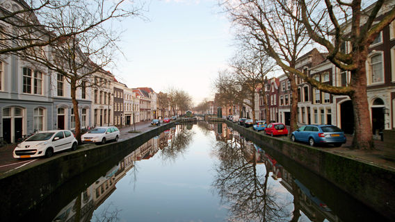 Gouda
