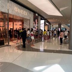 O Corisco User Photo