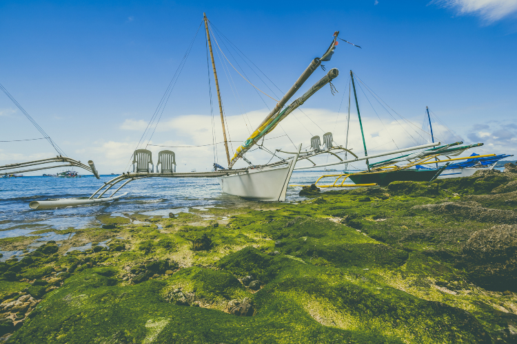Manoc Manoc Beach