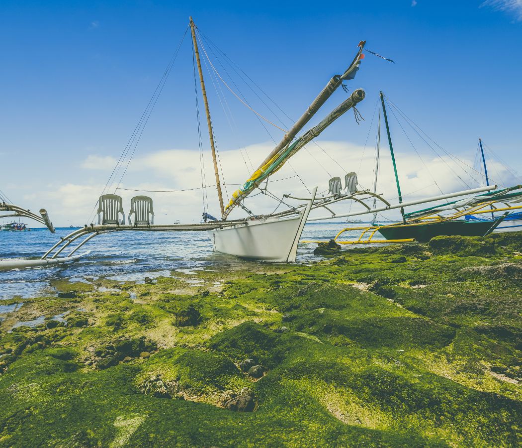 Manoc Manoc Beach