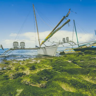 Мини-отели в г. Боракай